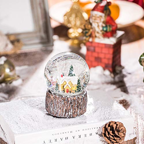 Ivy Home Glass Snow Globe Polystone Musical Water Globe with Christmas House